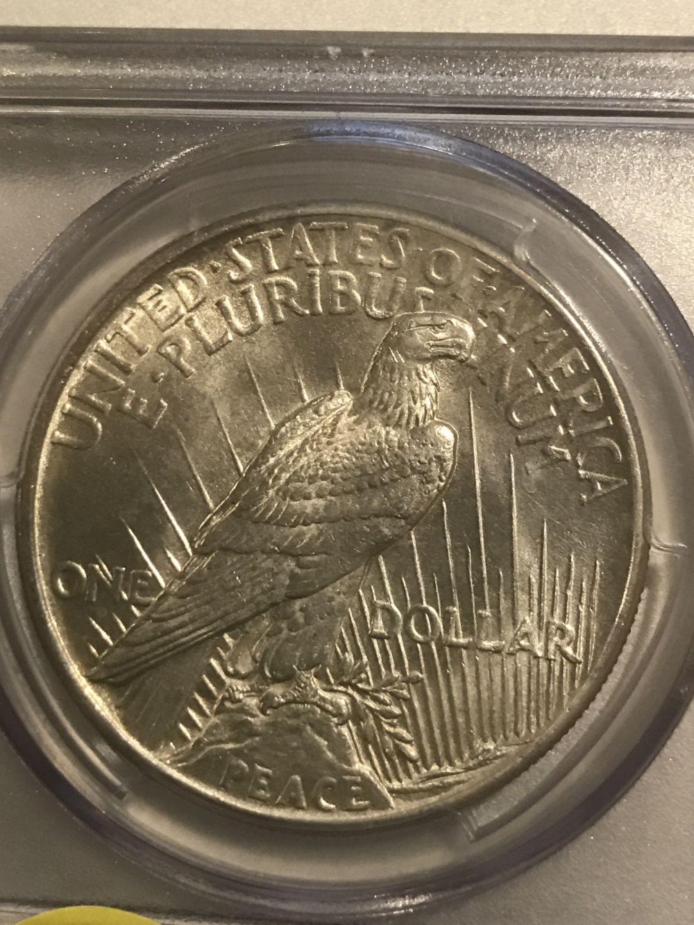 All-Members,-Post-Your-Most-Recent-US-Coin-Purchases!