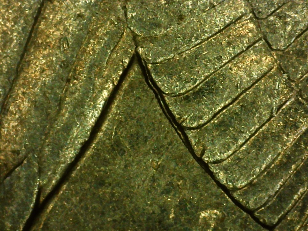 New-Member.-First-Post.-Error?-1994-D-Quarter