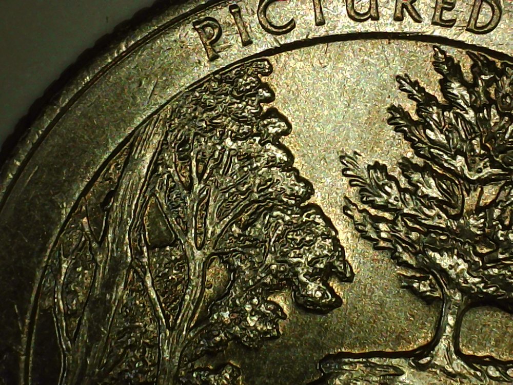 2018-Pictured-Rocks-Quarter-Cud