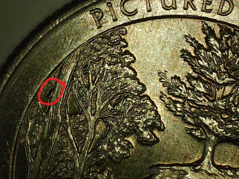 2018-Pictured-Rocks-Quarter-Cud