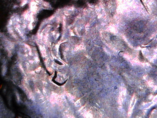 2018--D-Penny-With-Split-Ear
