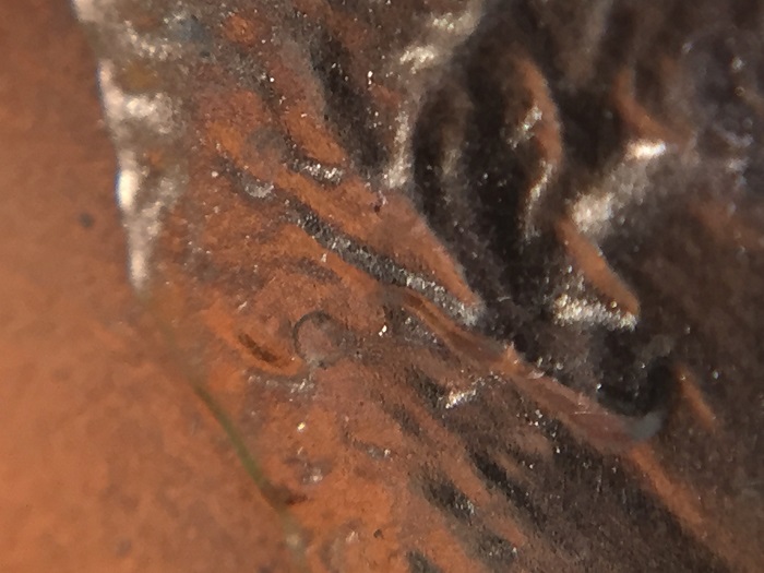 1984-Lincoln-Ear-Error?