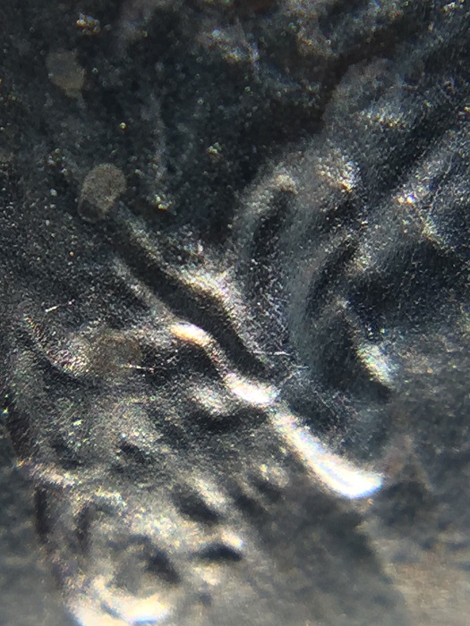 1984-Lincoln-Ear-Error?