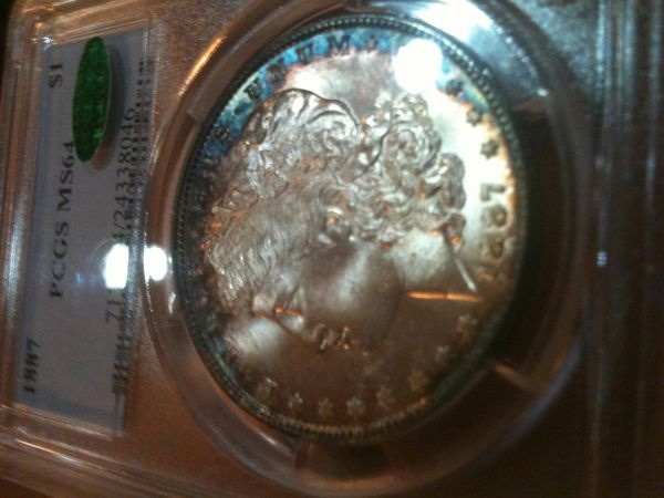 Toned-Morgans