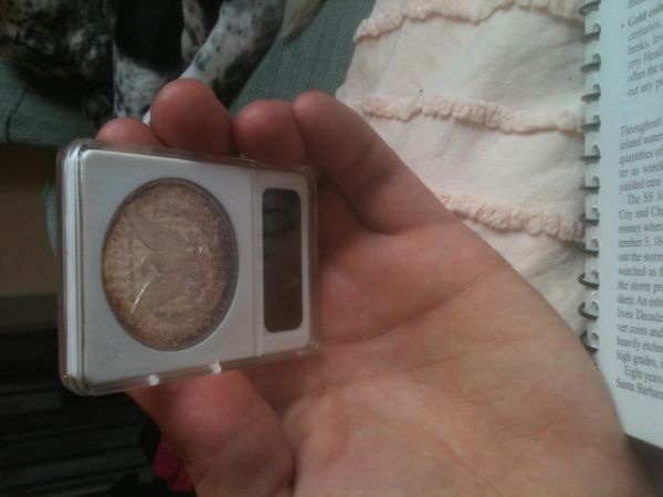 Stunning-1883-CC,-Yesterday's-Coin-Show!