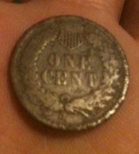 The-Incredible-100-Days-Of-19th-Century-US-Coins!