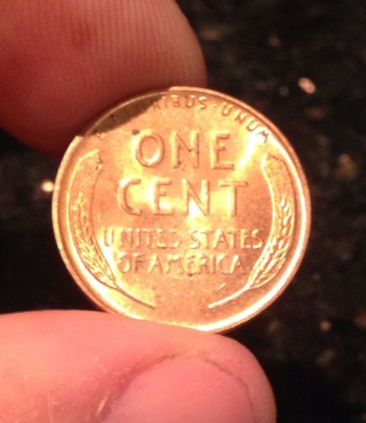 Interesting-Find-From-Circulation