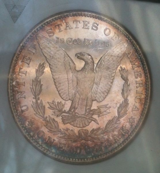 Why-Are-DMPL/Dpl-Morgans-So-Expensive?