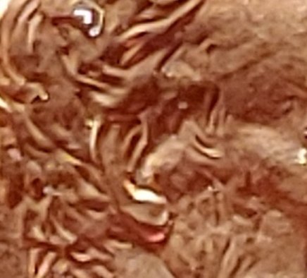 1997-LMC-DDO/Ear-Variety
