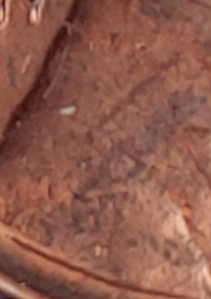1954-Lincoln-Wheat-Cent