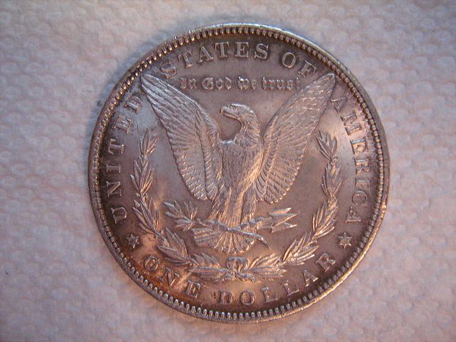 Grade-My-1891-Morgan