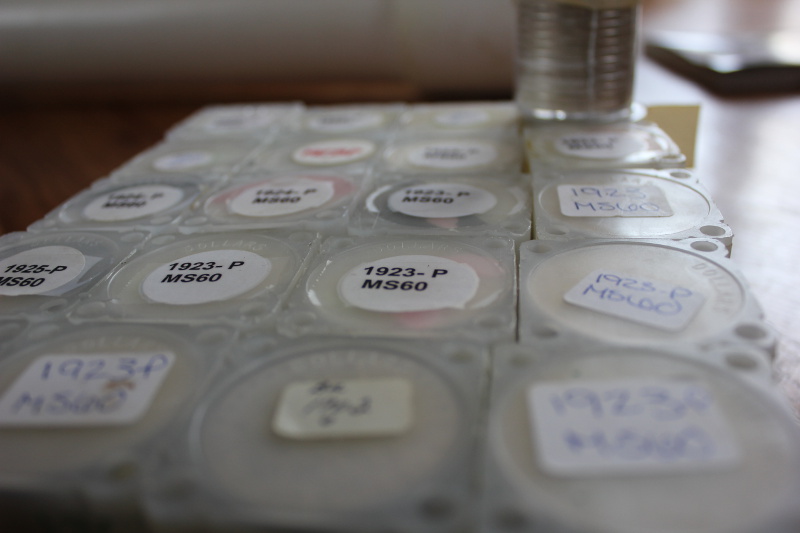 Lots-Of-MS-60-Silver-Dollar-Rolls