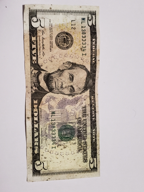 I-Got-Thos-$5-From-Food-Lion-Yesterday,-Any-Thoughts?