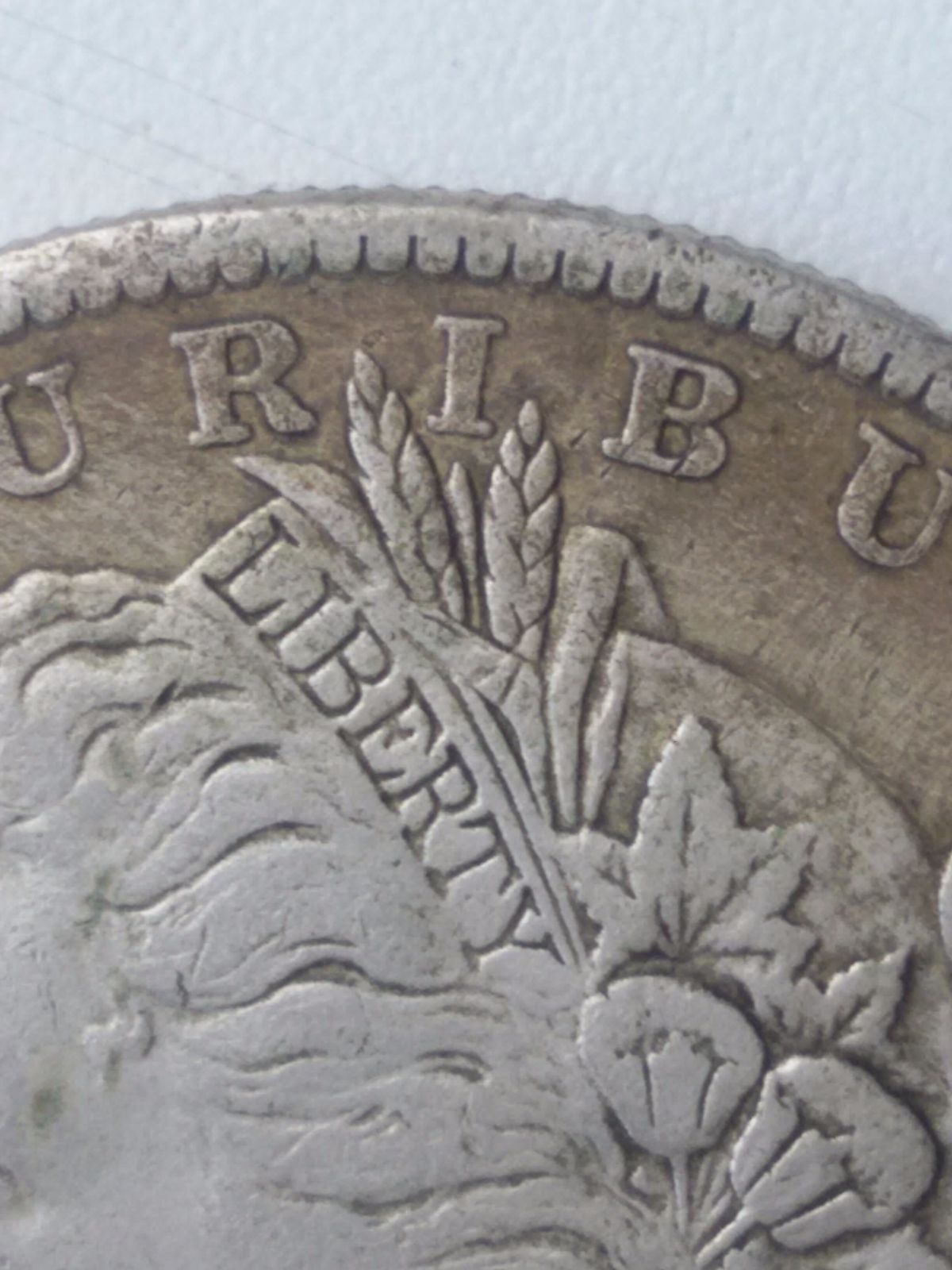 Morgan-Dollar-1893-S-Opinion