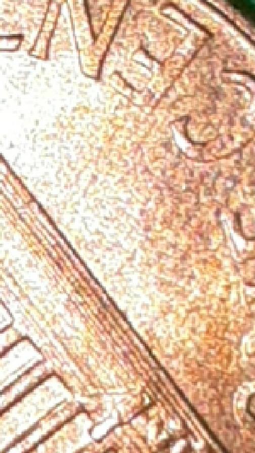 1995-D-DDO?-+-6-More
