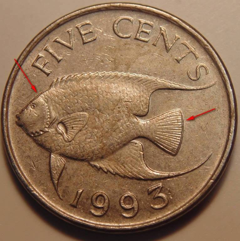 Post-Your-MD-Coins-!