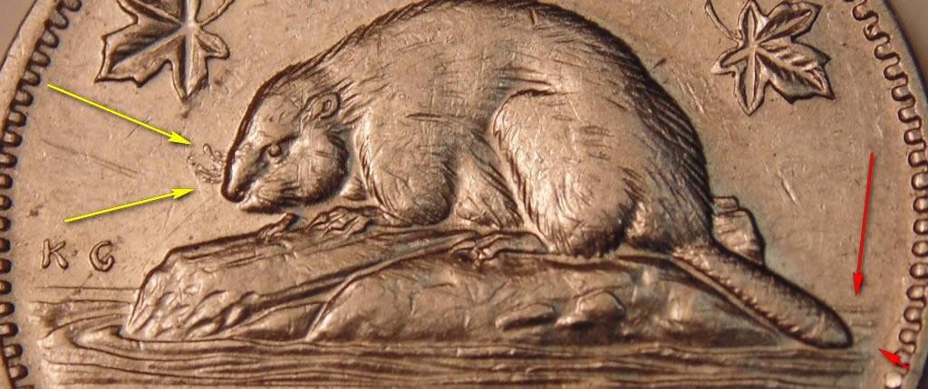 1964-5-Cent-Possible-Error?
