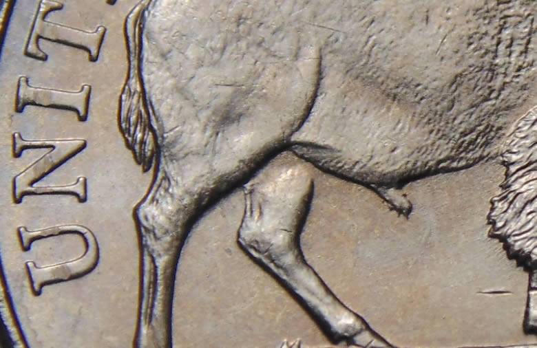 2005-Bison-Nickel-Somewhat-Detached-Leg.