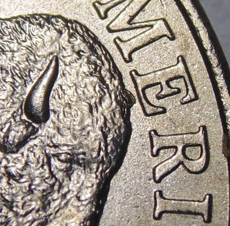 3-2005-P-Bison-Nickels-Extra-Horns?