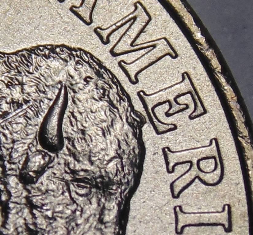 3-2005-P-Bison-Nickels-Extra-Horns?