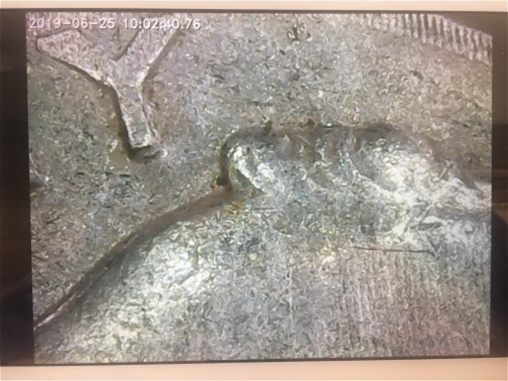 1976-P-Roosevelt-Dime-Wrong-Planchet-Or-Foreign-Object-On-Die?