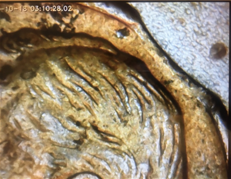 1962-D-Roosevelt-Dime,-Clipped-Planchette?