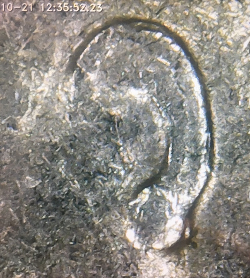 1976-P-Dime,-How-About-This-Double-Ear-Coop?