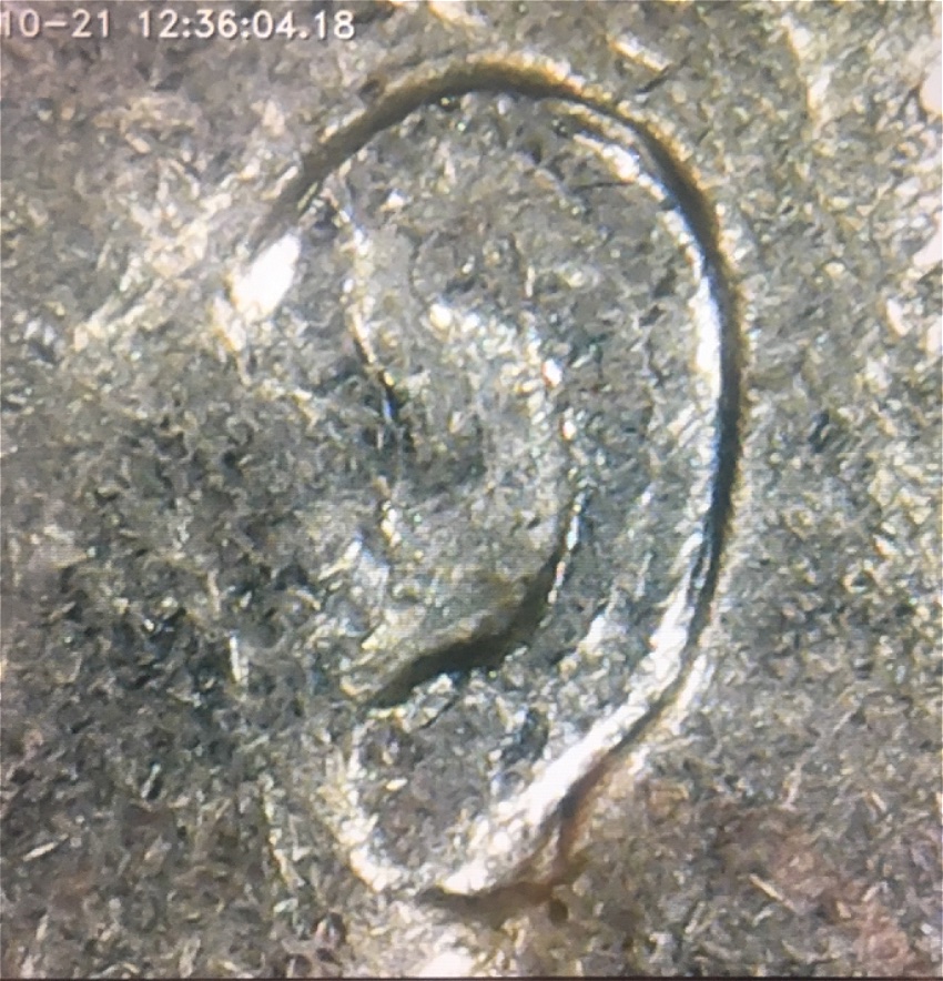 1976-P-Dime,-How-About-This-Double-Ear-Coop?