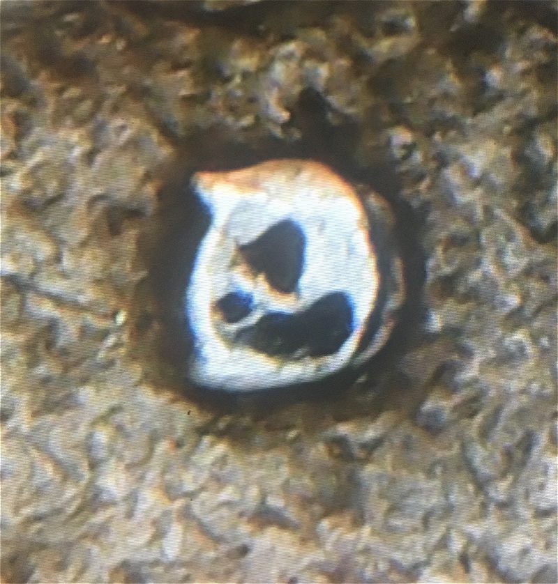 1950-D-Quarter,-Need-Help-With-The-Mint-Mark
