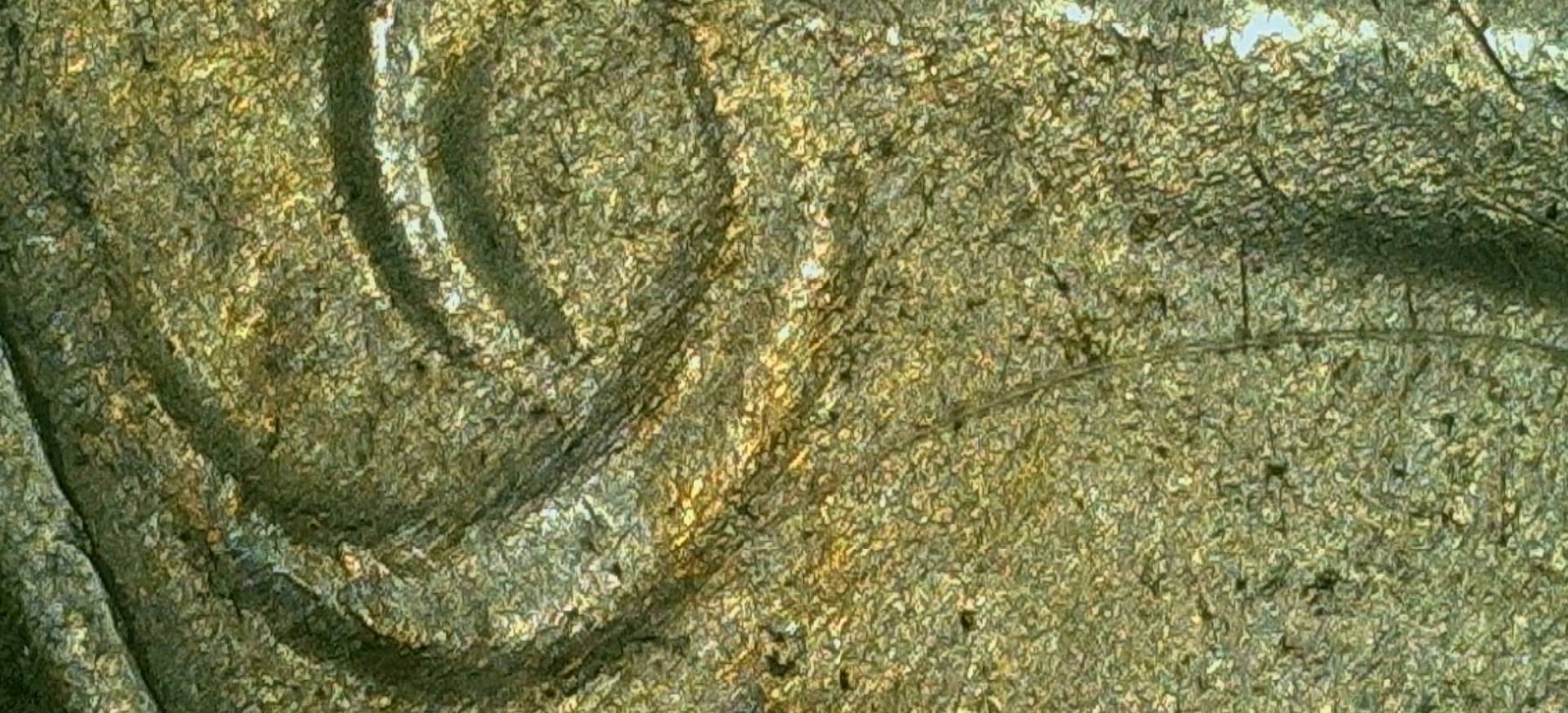 1923-S-Peace-Dollar-Either-Multi-Struck-As-Well-As-Struck-Through-Debris?