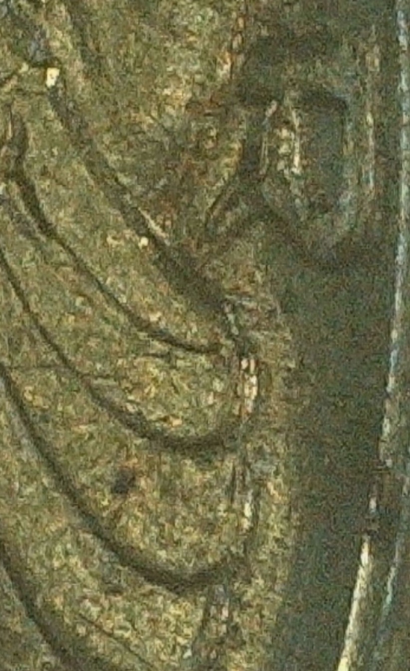 1926-Mercury-Dime-DDO?