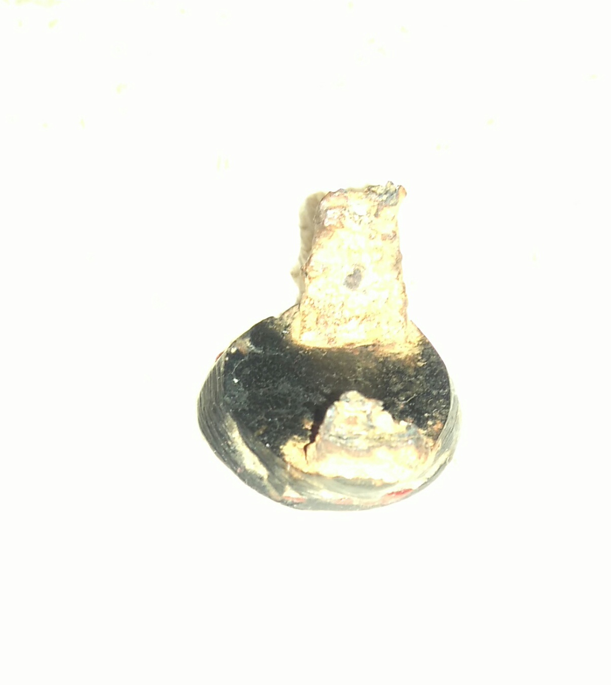 Help-Identify-My-Find