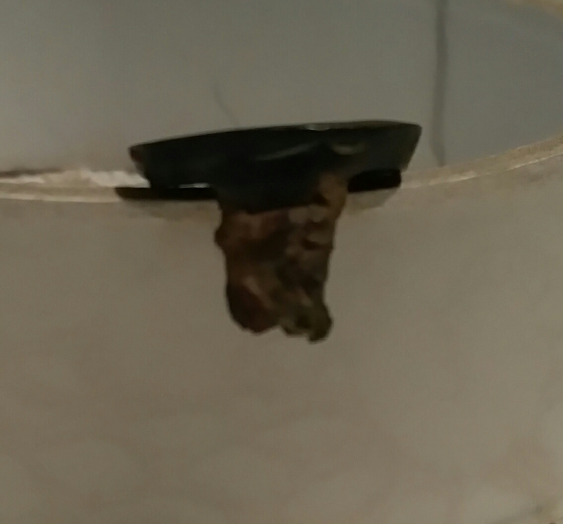 Help-Identify-My-Find