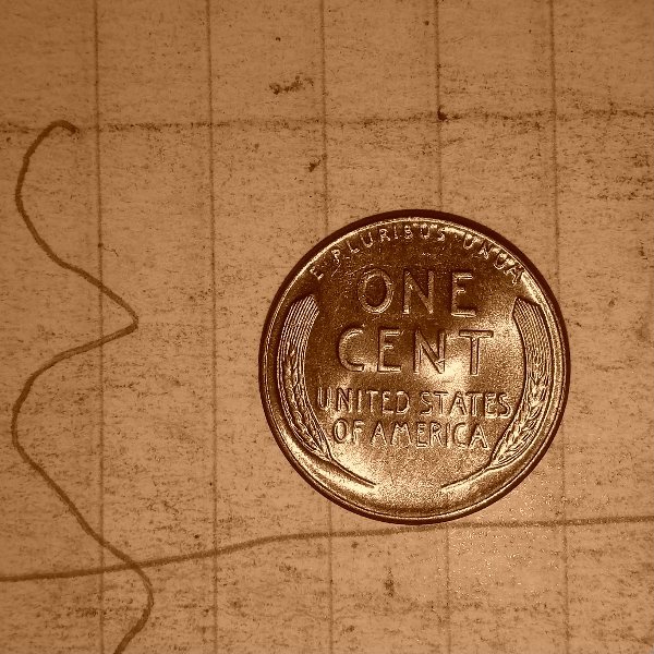 My-First-Red-Wheat-Pennies.-3-In-One-Box..