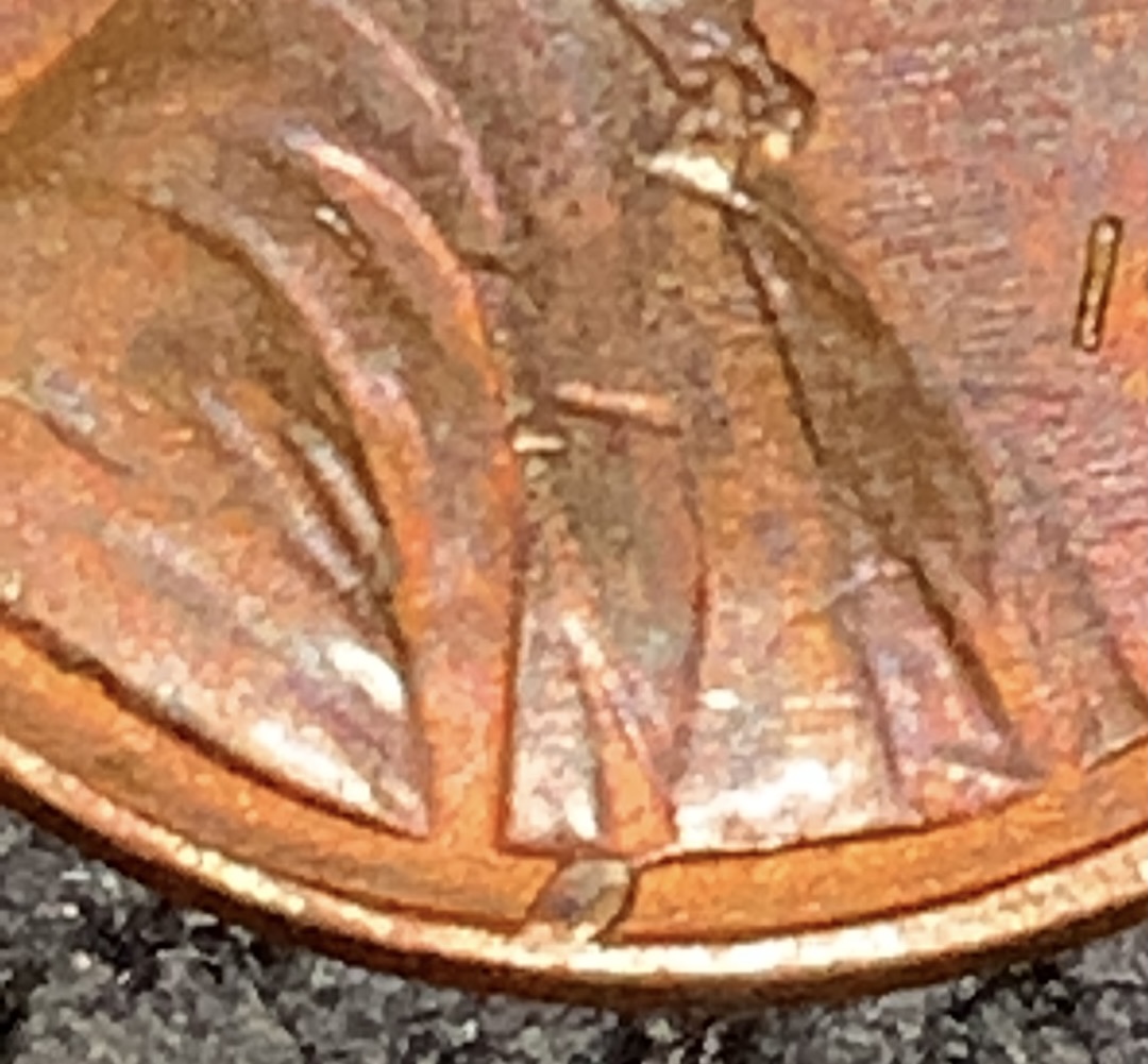 My-First-Post!-1983-Penny-Error