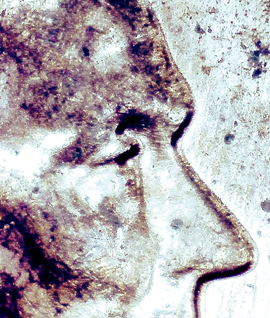 1966-P-Cent-Double-Die?-Any-Thoughts?