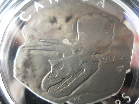 Need-Help-:-Mint-Process-Vs-Bad-Cleaning-Triceratops-2008