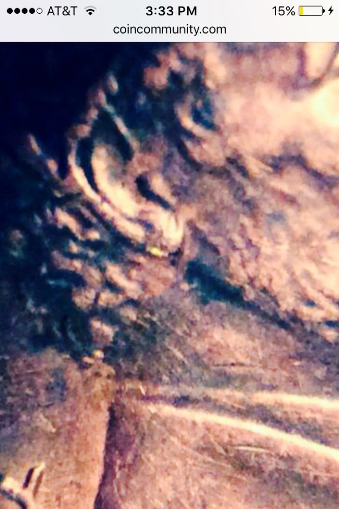 Is-This-A-1988-Double-Ear-Kind?