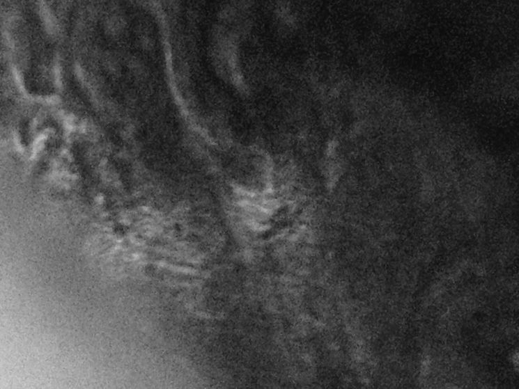 Is-This-A-1988-Double-Ear-Kind?