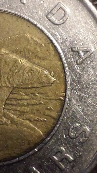 Toonie-Horn