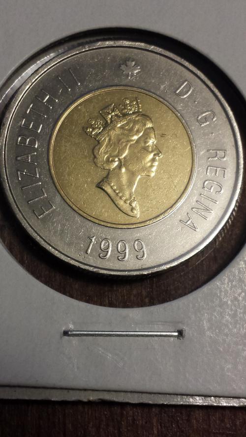 Circulation-Find---1999-Polar-Bear
