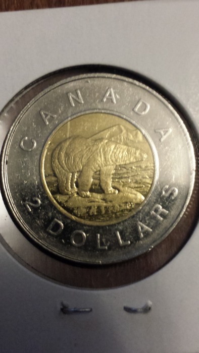 Circulation-Find---1999-Polar-Bear
