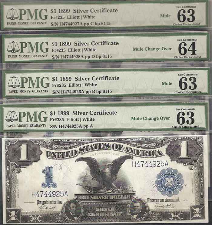 100-And-50-Dollar-Bills-Mule-?