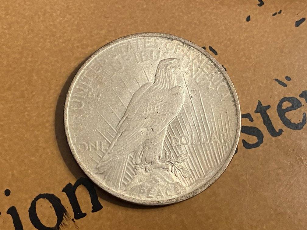 1923-Peace-Dollar-For-Grading