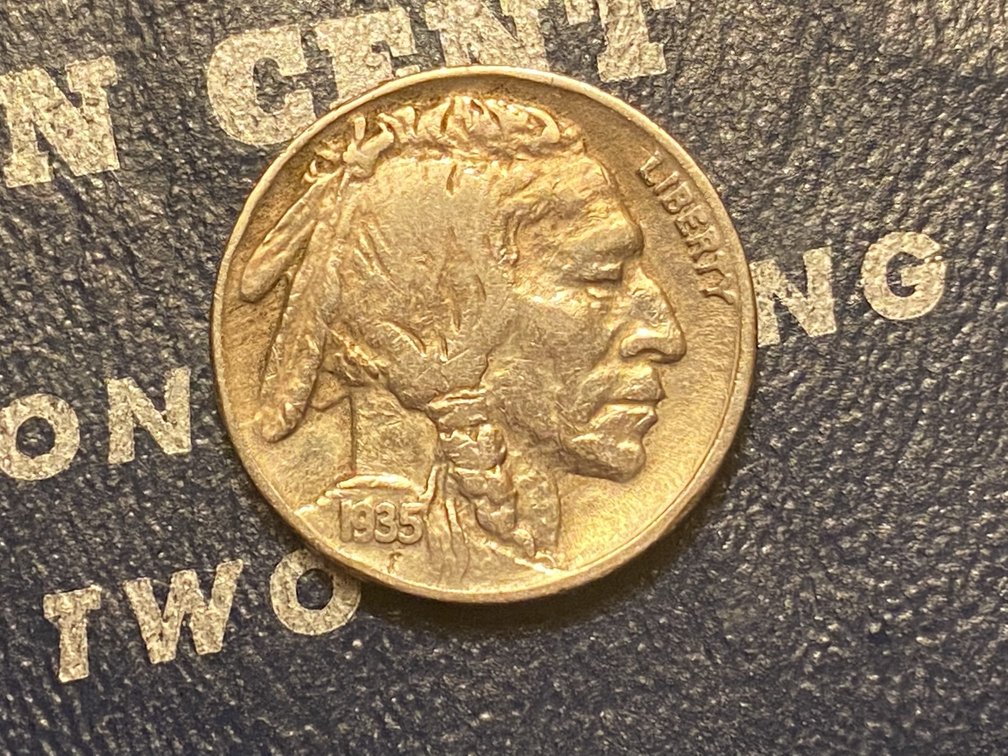 1935-Buffalo-Nickel-For-Grading