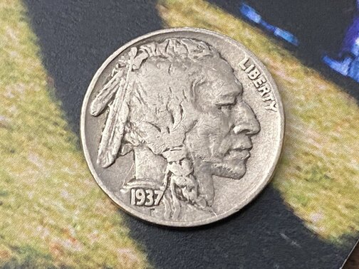 1937-Buffalo-Nickel-For-Grading