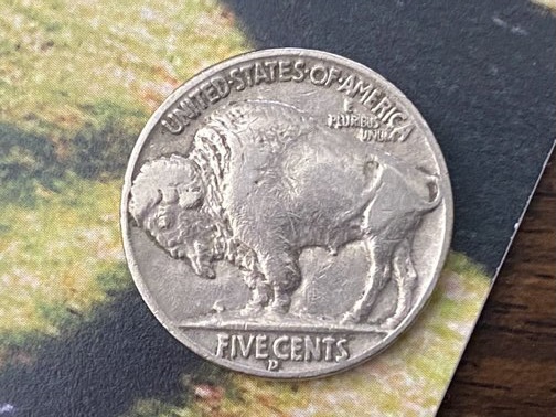 1937-Buffalo-Nickel-For-Grading