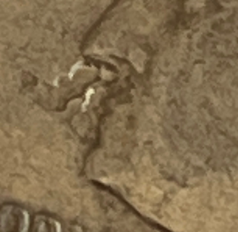 Gash-On-1979-Quarter