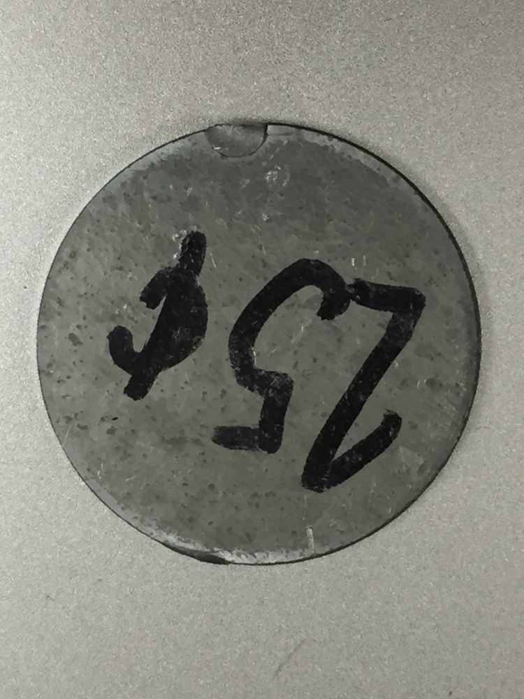 Hobo-Coin-Hunting-Finds!