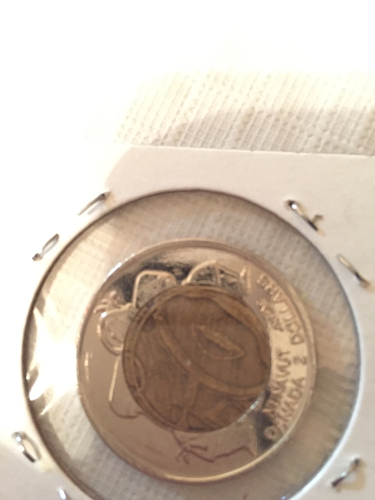 1999-Toonie...die-Rotation?-Counterfeit?